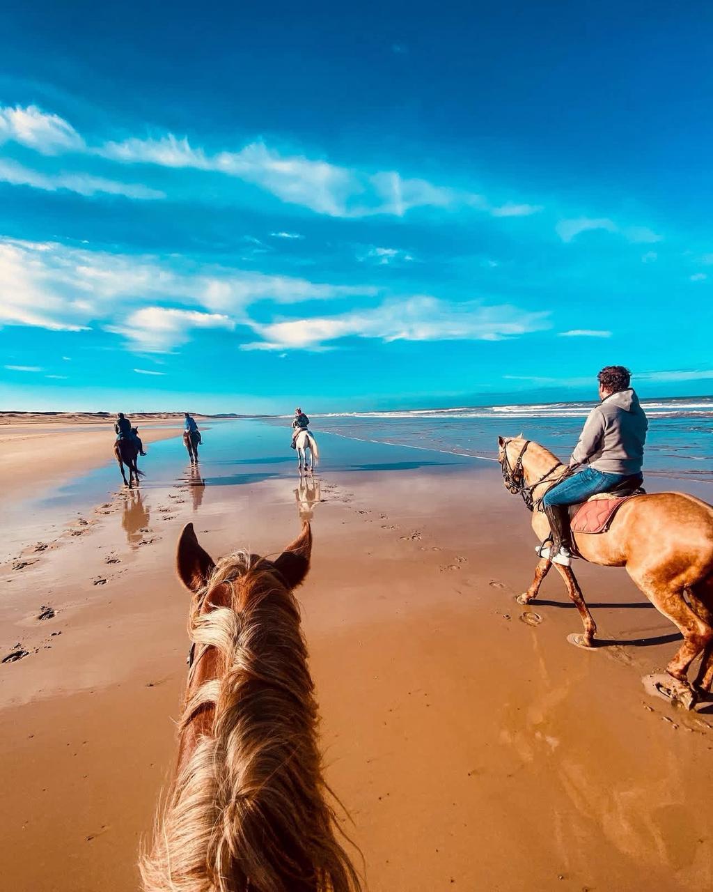 WhatsApp Image 2026-03-18 at 12.36.51 (1)