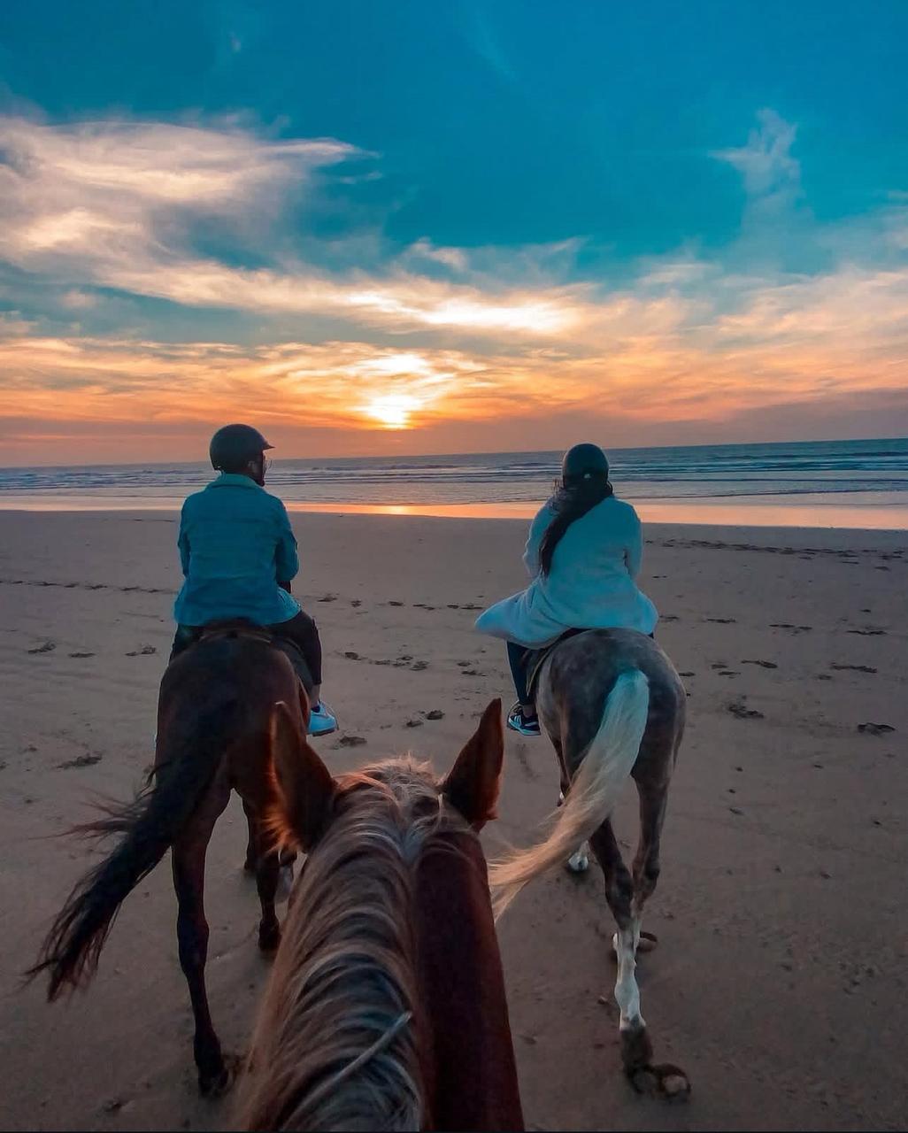 WhatsApp Image 2026-03-18 at 12.36.51 (2)